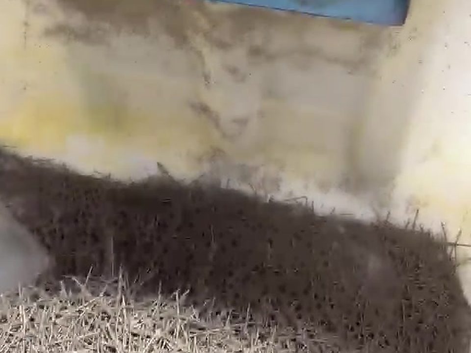 Macrofibra ou Tela Soldada